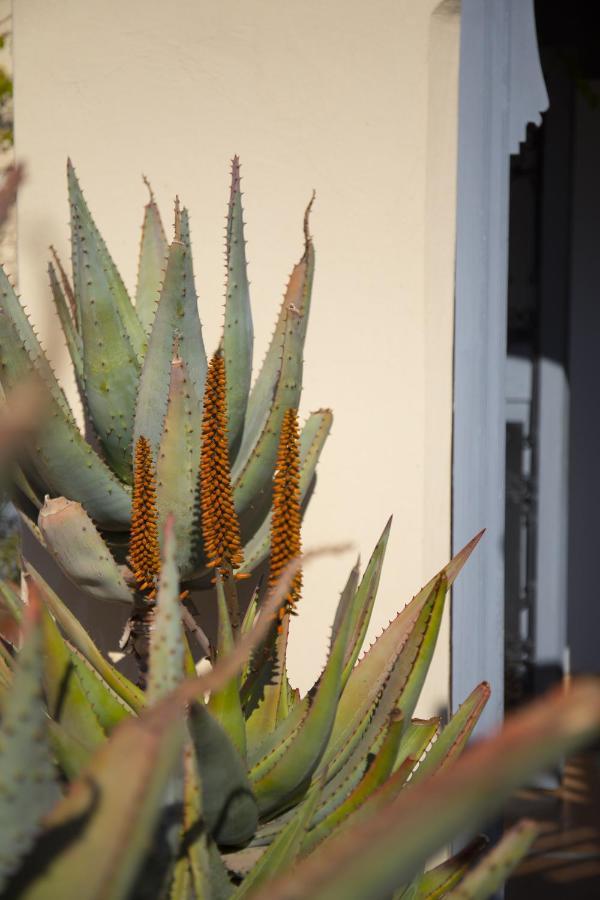 Riad Les Hirondelles Boutique Hotel Marrakesch Exterior foto
